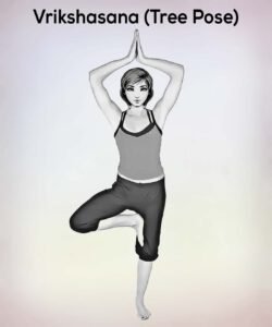 VRIKSHASANA