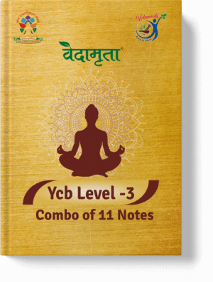 Ycb Level -3 Notes | Combo of 11 Notes (Hindi)