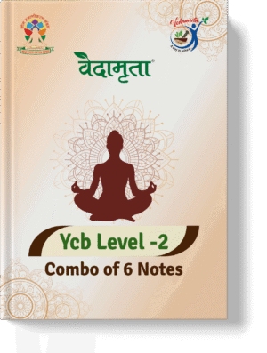 Ycb Level -2 Notes | Combo of 6 Notes (Hindi)