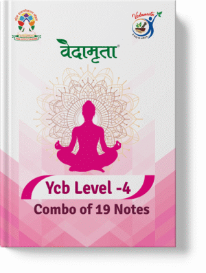 Ycb Level -4 Notes | Combo of 19 Notes (Hindi)