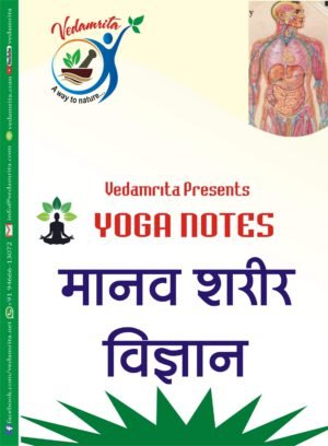 मानव शरीर विज्ञान (Hindi)