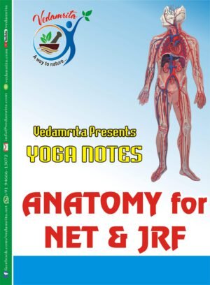 मानव शरीर रचना एवं क्रिया विज्ञान (Hindi) | Yoga Notes