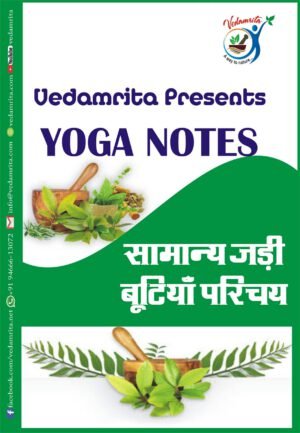सामान्य जड़ी-बूटियाँ परिचय (Hindi) | Yoga Notes
