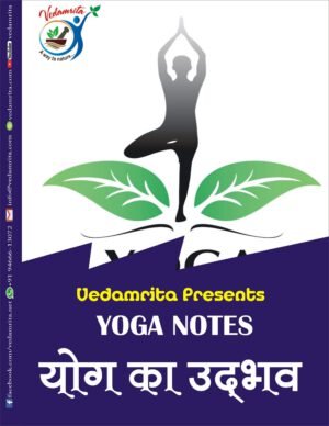 योग का उद्भव (Hindi) | Yoga Notes