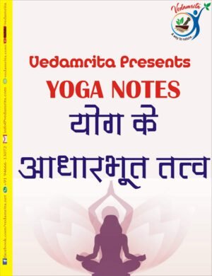 योग के आधारभूत तत्व (Hindi)